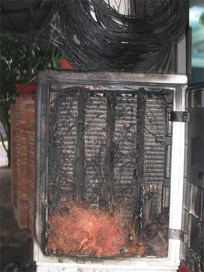 Thùng[-]chứa[-]dữ[-]liệu[-]cáp[-]quang[-]bị[-]cháy[-]rụi
